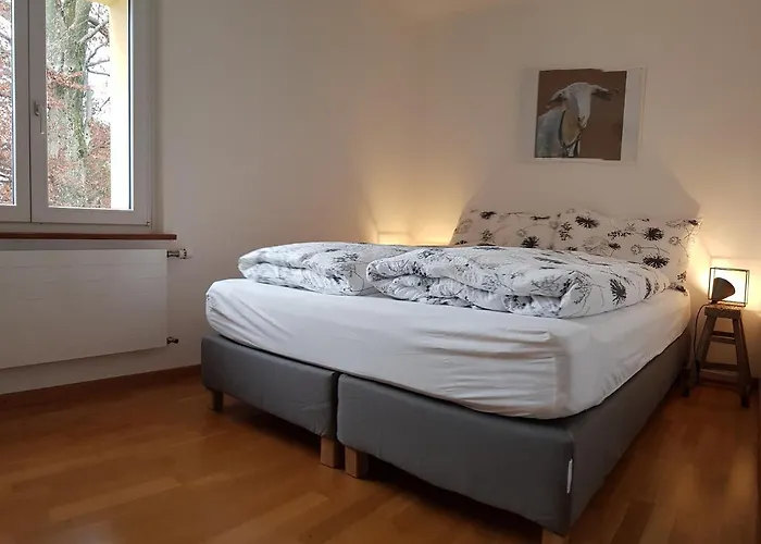 Interlaken City Apartments Interlaken