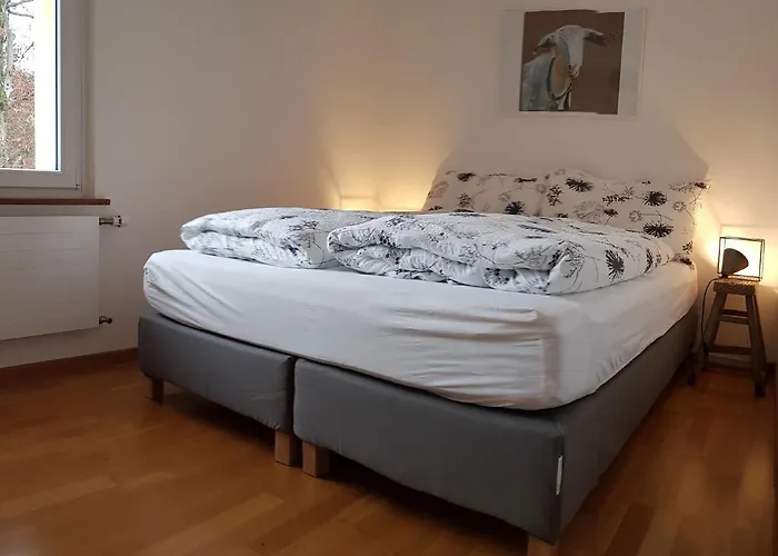 Interlaken City Apartments *